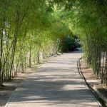 Фото отзыва Ольга  №4