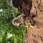 Фото отзыва Дарья №3