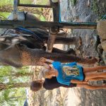 Фото отзыва Дарья №4