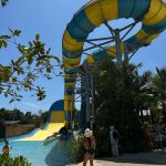 Фото отзыва Лиза №1