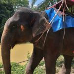 Фото отзыва Виктория  №1