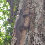 Фото отзыва Юрий  №2