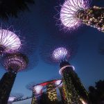 Фото отзыва Светлана №5