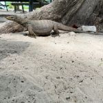 Фото отзыва Наталия №1