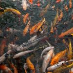 Фото отзыва Юля №4