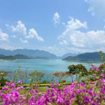 Фото отзыва Светлана  №2