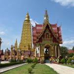 Фото отзыва Светлана  №4