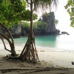 Фото отзыва Ольга №1