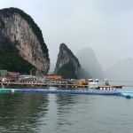 Фото отзыва Ольга №3