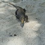 Фото отзыва Евгения  №2