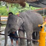 Фото отзыва Ольга №2