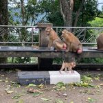 Фото отзыва Ольга №4