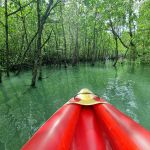 Фото отзыва Максим №4