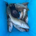 Фото отзыва Константин  №3