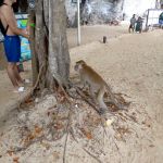 Фото отзыва Ольга и Вадим №2