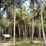 Фото отзыва Иван №2