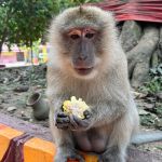 Фото отзыва Александр №2