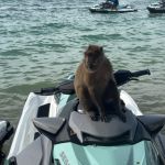 Фото отзыва Лейла №2