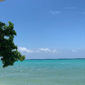 Фото отзыва Кристина и Руслан №7