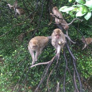 Фото отзыва Жанна №1