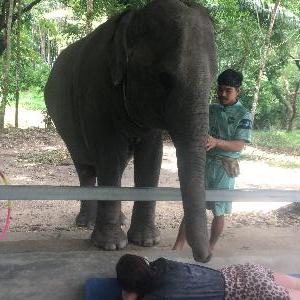 Фото отзыва Жанна №2