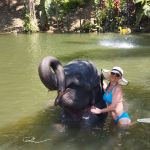 Фото отзыва Алина №2