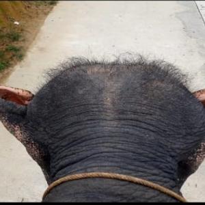 Фото отзыва Андрей №1