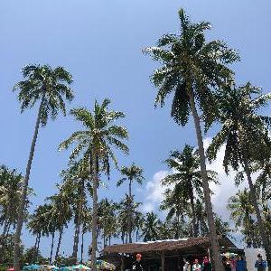 Фото отзыва Настя  №3