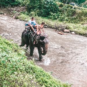 Фото отзыва Анна №1