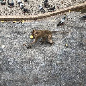 Фото отзыва Анна №2