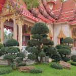 Фото отзыва Елена №1