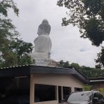 Фото отзыва Елена №2