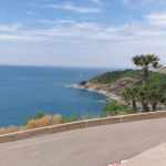 Фото отзыва Елена №3