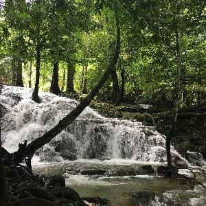 Фото отзыва Polina  №4