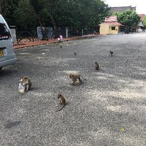 Фото отзыва Polina  №6