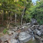 Фото отзыва Виктория  №3