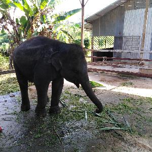 Фото отзыва Ольга  №4