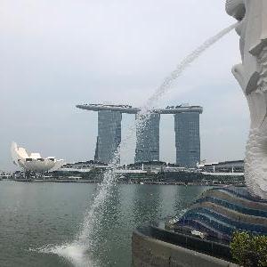 Фото отзыва Станислав  №1