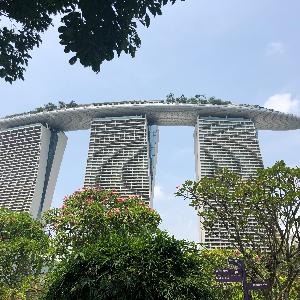 Фото отзыва Станислав  №5