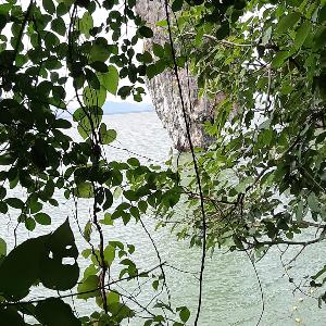 Фото отзыва Елена №2