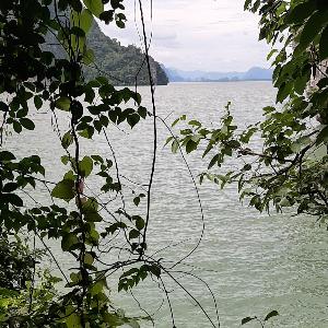 Фото отзыва Елена №4