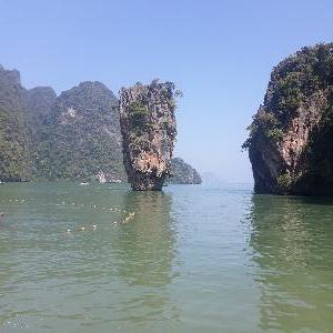 Фото отзыва Alessa №1