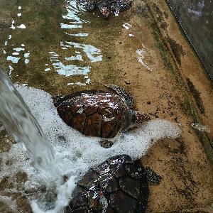 Фото отзыва Михаил №3