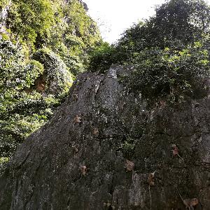 Фото отзыва Михаил №4