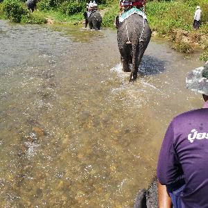 Фото отзыва Михаил №6