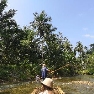 Фото отзыва Михаил №7