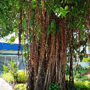 Фото отзыва Михаил №8