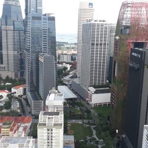 Фото отзыва Светлана №2