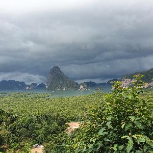 Фото отзыва Светлана  №1