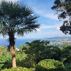 Фото отзыва Светлана  №1